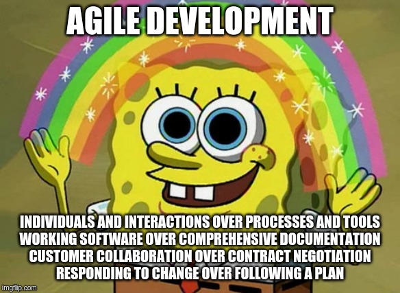 Agile web development